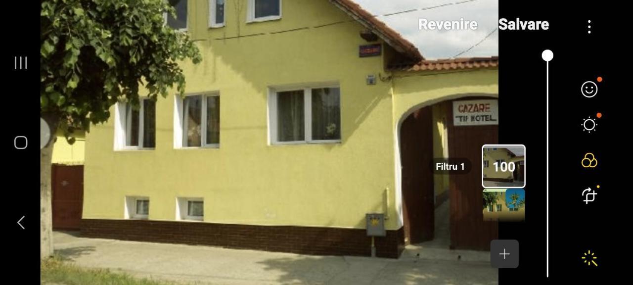 La Bibicu Hotel Agnita Екстериор снимка