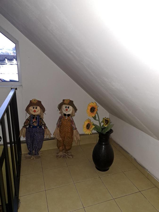 La Bibicu Hotel Agnita Екстериор снимка